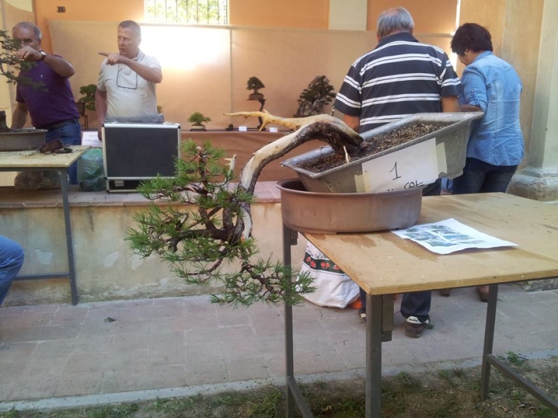 Giareda 2015 - Pagina 2 11992112