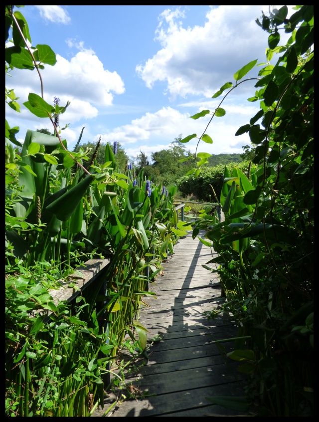 (24) Les Jardins d'Eau - Carsac-Aillac (Sarlat) Nynu_211