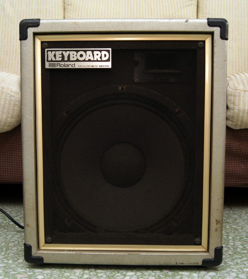 Roland Keyboard Amplifier CK-60 aka CUBE-60 (used) Dsc07628