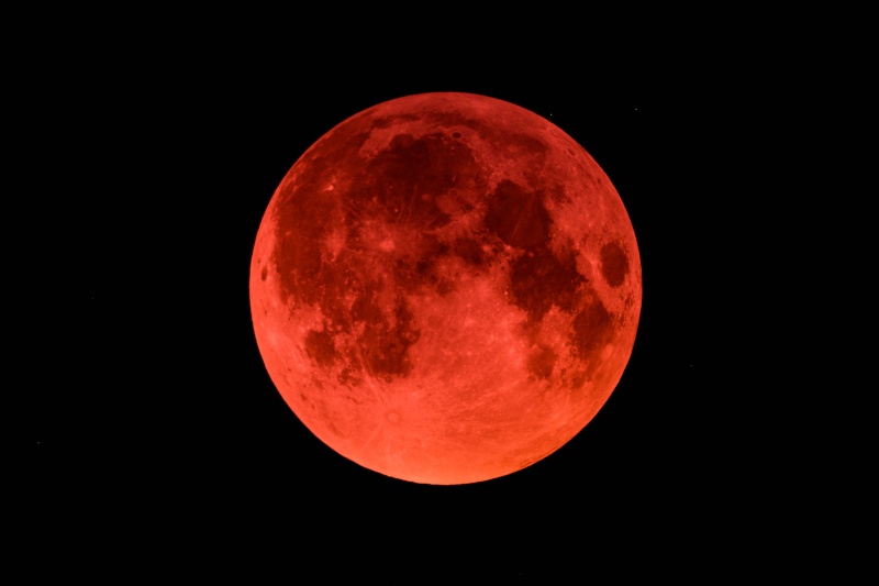 Eclipse de lune 2015 à Therouanne .  Img_6410