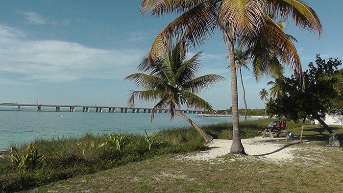 Florida Road Trip Report > 16 février - 5 mars 2015 [WDW en solo, KSC, Everglades, Keys, Dry Tortugas, Miami, USO] - Page 19 Vlcsn225