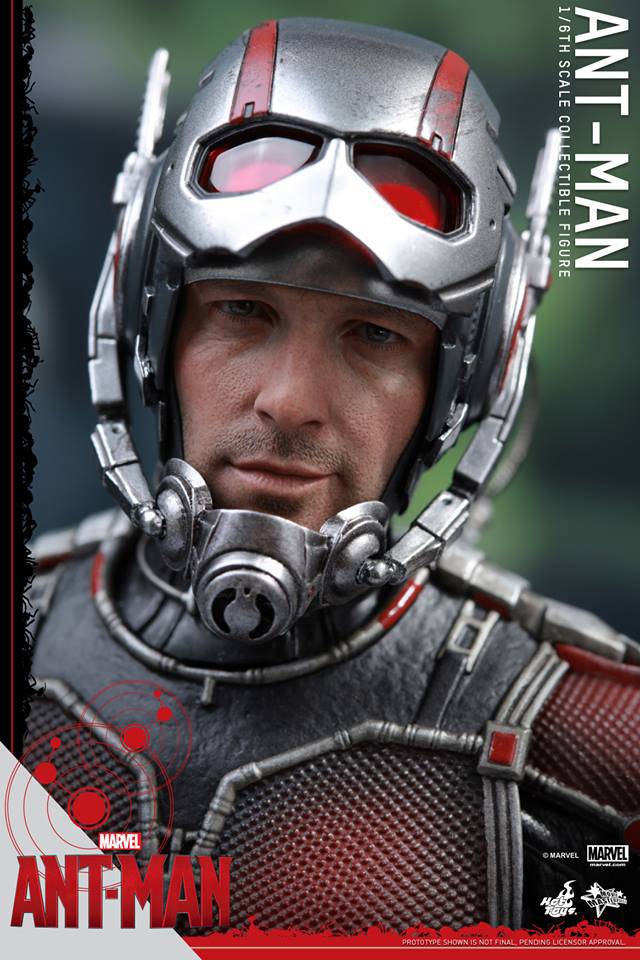 ANT-MAN - ANT-MAN (MMS308) Image103