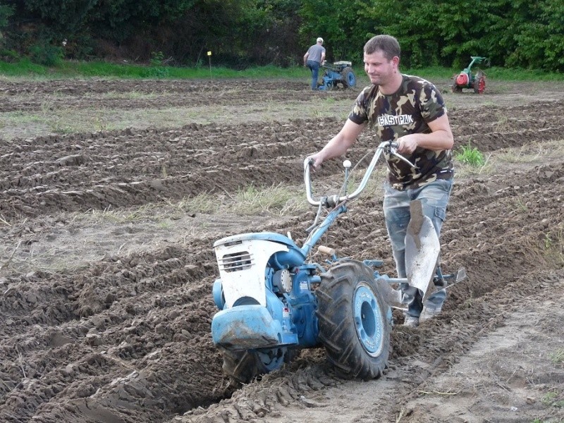 VIARMES 2015 CONCOURS DE LABOUR AUX MOTOCULTEURS - Page 4 P1080423