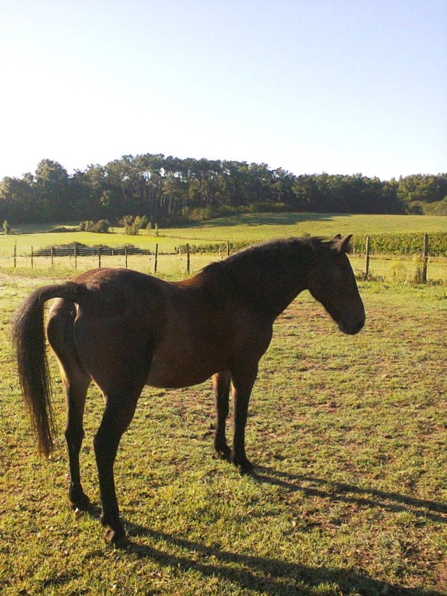 Fanny, 19 ans a adopter /FA Chrysalide  Photo018