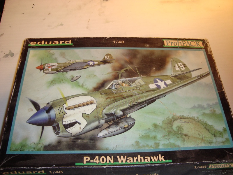 P-40 N Eduard 1/48° Dsc01511