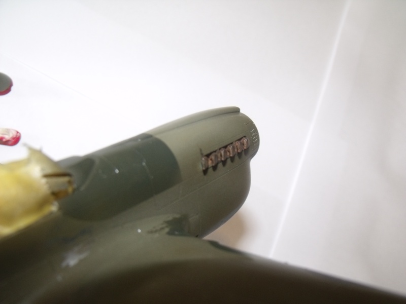 P-40 N Eduard 1/48° - Page 2 Dscf6240