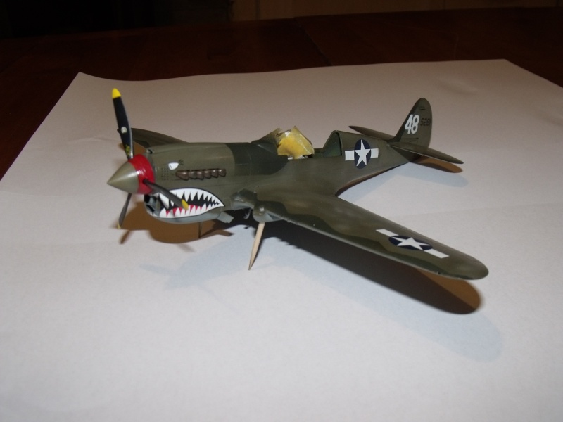 P-40 N Eduard 1/48° - Page 3 Dscf6246