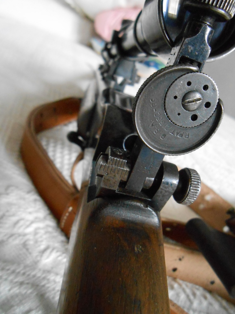BSA 12 avec montage. Dscn1214
