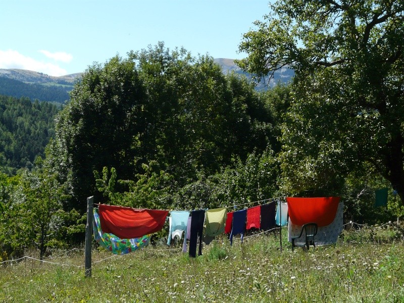 Hors défi d'Aout 2015 " LINGE QUI SECHE "(fin le 30/08) - Page 2 P1420211