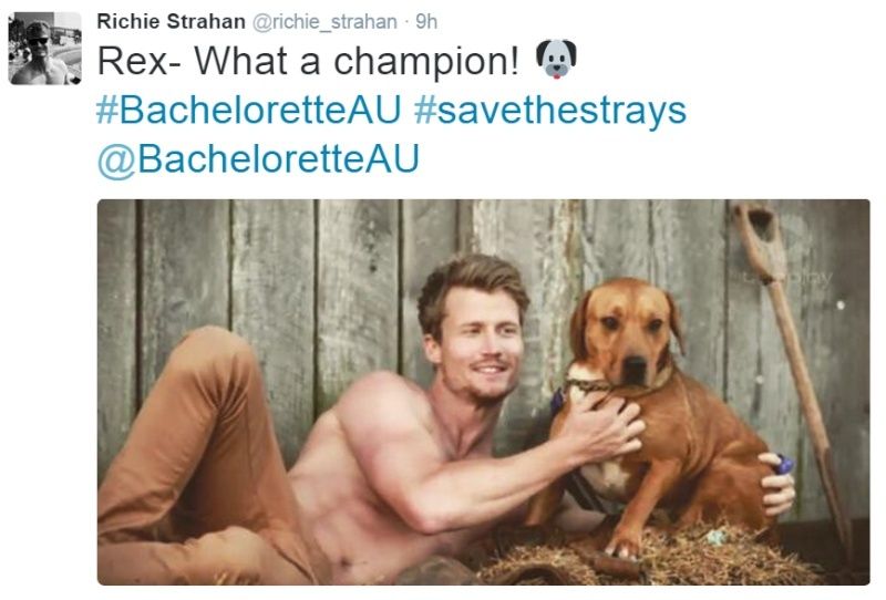 KJShow - The Bachelorette Australia - Richie Strahan *Sleuthing Spoilers*  - Page 12 _10