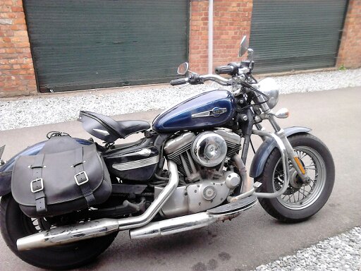 J'aime mon Sportster - Page 8 14373411