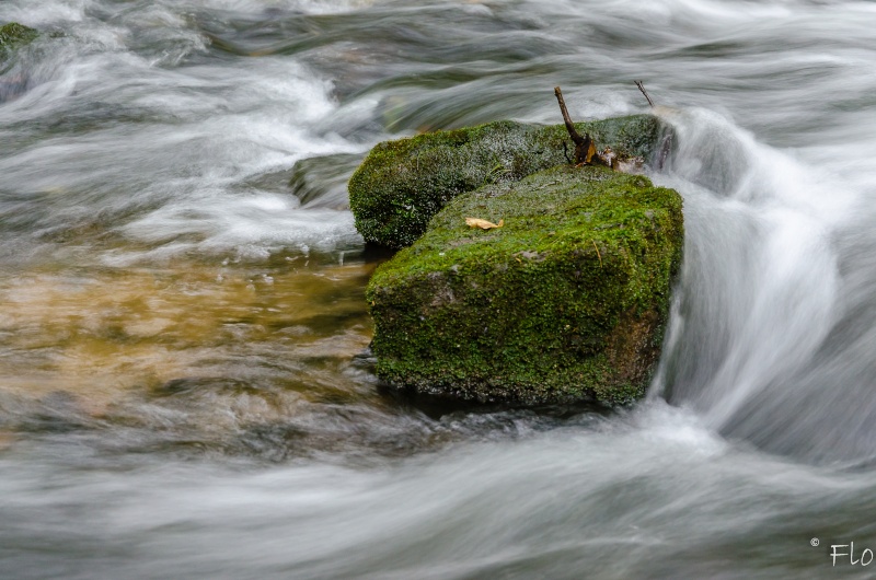 Une petite pose longue Orval-10