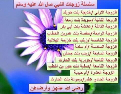 الزوجة الثامنة للنبي ﷺ