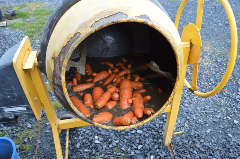 les carottes sont ....nettoyées Dsc_0513