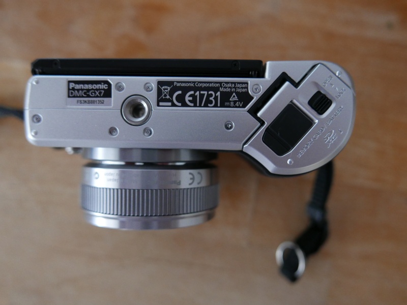 [VENDU] GX7 + 20mm Argent P1010520