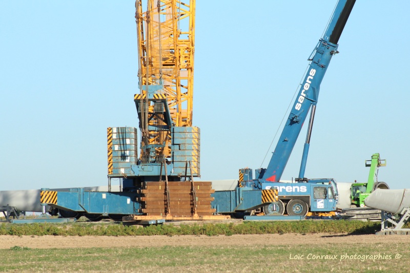 Les grues SARENS (Belgique) - Page 98 Img_2115