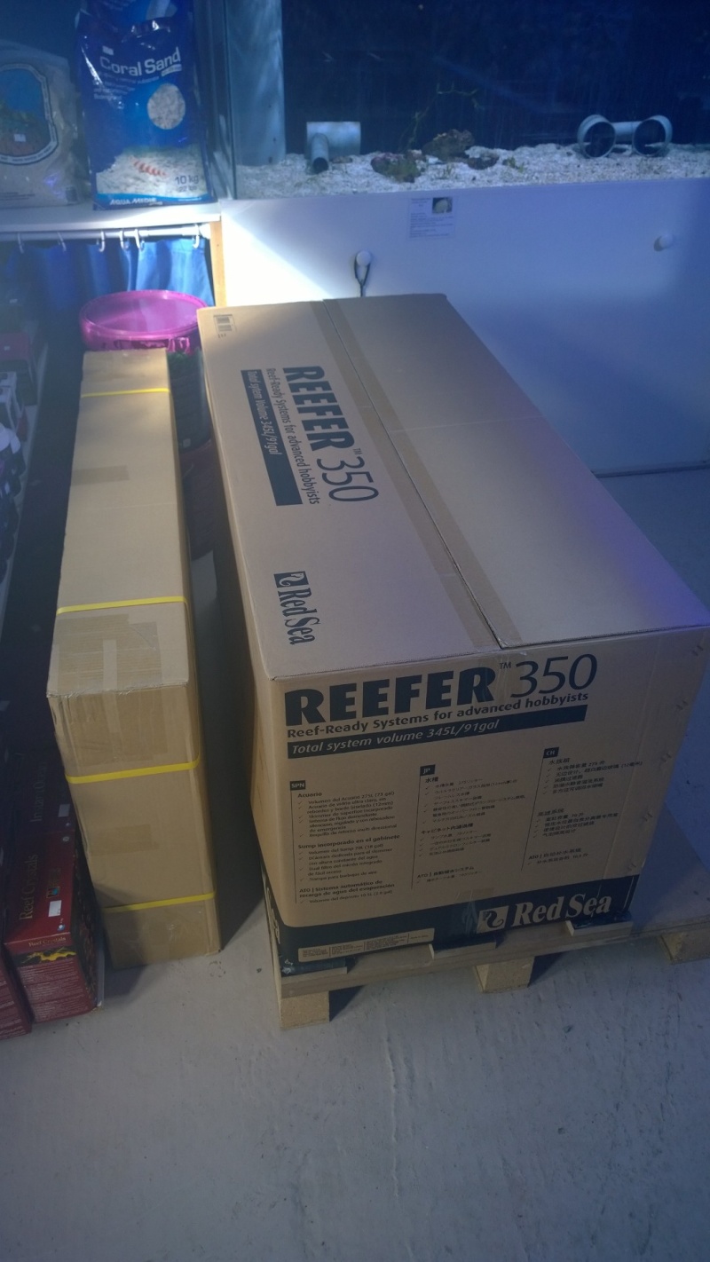 Mon Red Sea Reefer 350L Wp_20115
