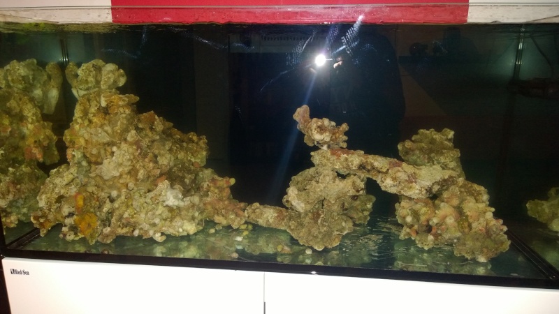 Mon Red Sea Reefer 350L Wp_20128