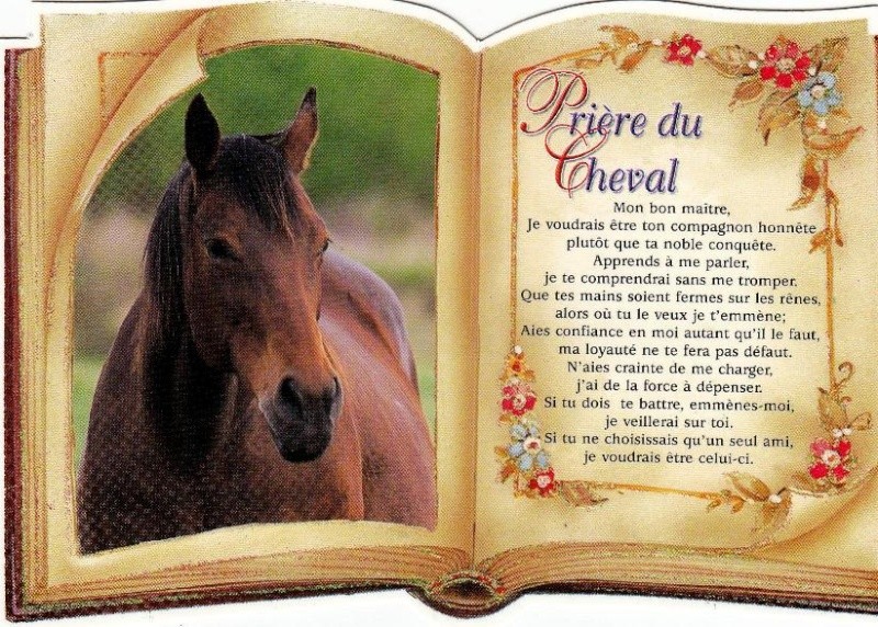 les chevaux.. - Page 8 Priyre10