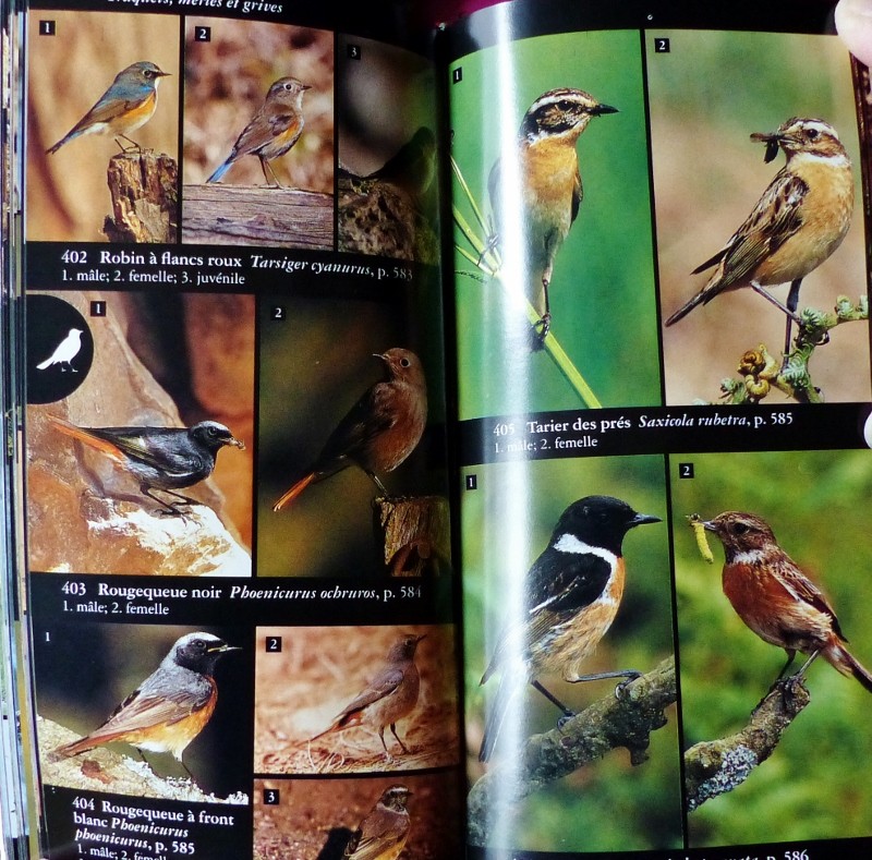 Livres, magazines sur les oiseaux, animaux  Livres15