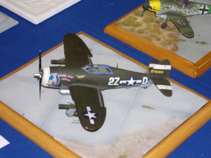 AVIGNON (26) Compte rendu du 29ème MODEL SHOW  du 31 octobre au 1er novembre 2015 ...  100_0560