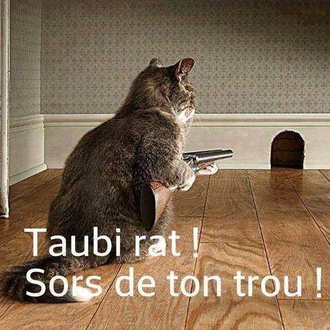 Humour en image du Forum Passion-Harley  ... - Page 33 Taubi_10