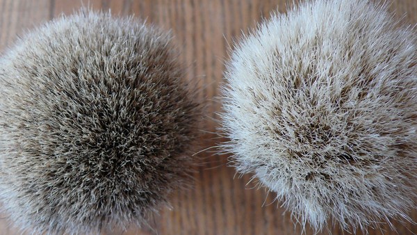 Vie-Long Brosse Cheval 13065 P1200017