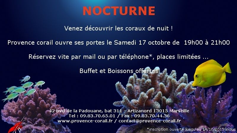 provence corail Noctur10