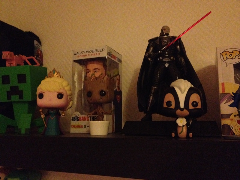 Les funko - Page 25 Img_1410