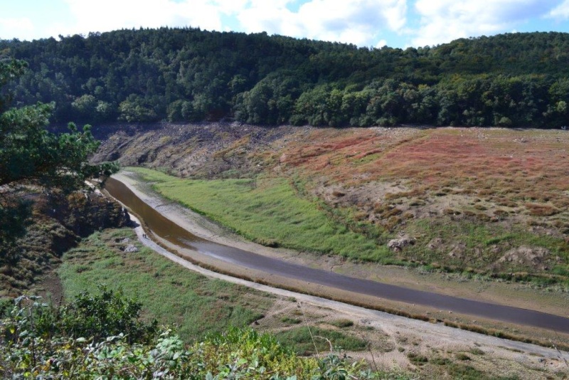 Les sections Ile-de-France et Sud du VRF en Bretagne 611