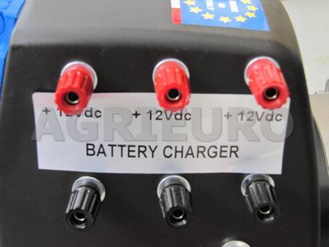 Batterie al piombo: manutenzione e cura Img_5610