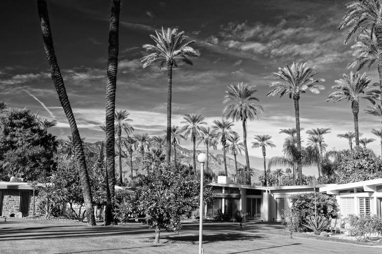 Rancho Mirage - Palm Springs - Mid Century Modern architecture - USA 10675710