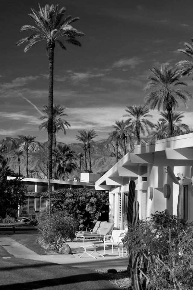 Rancho Mirage - Palm Springs - Mid Century Modern architecture - USA 11018610