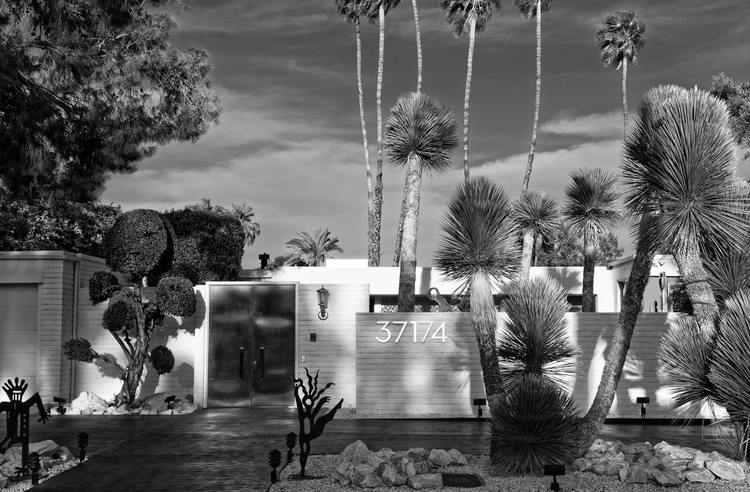 Rancho Mirage - Palm Springs - Mid Century Modern architecture - USA 12065713