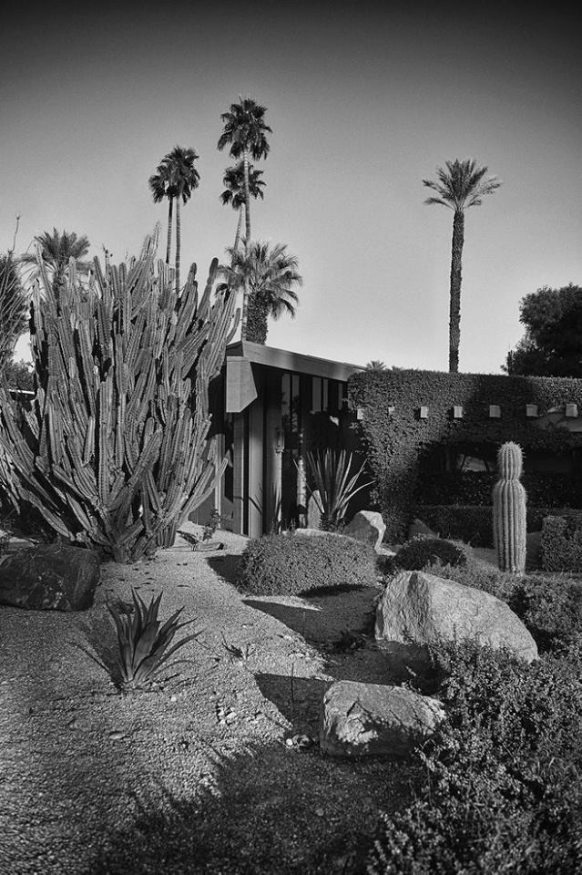 Rancho Mirage - Palm Springs - Mid Century Modern architecture - USA 12065915