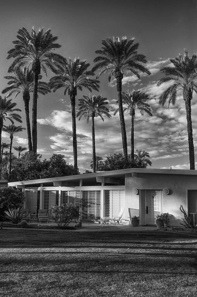 Rancho Mirage - Palm Springs - Mid Century Modern architecture - USA 12196311