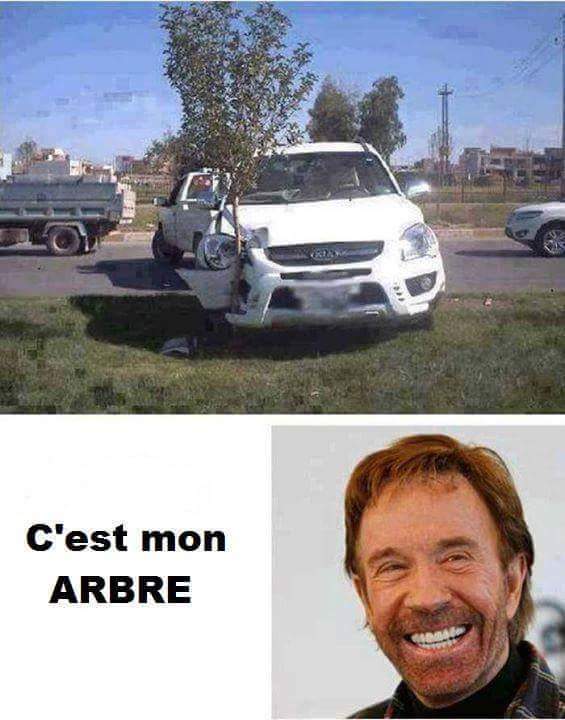 Humour en image du Forum Passion-Harley  ... - Page 19 Fb_img17