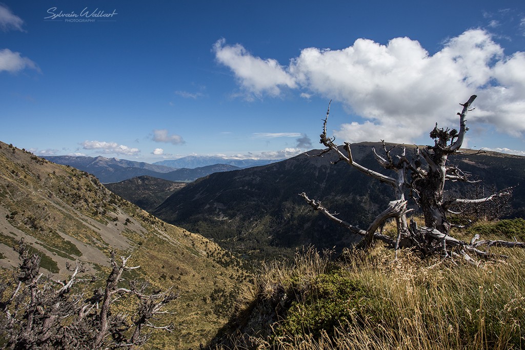 10 jours dans les Pyrénées Img_9317