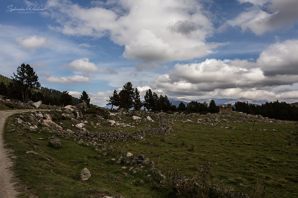 10 jours dans les Pyrénées Img_9321