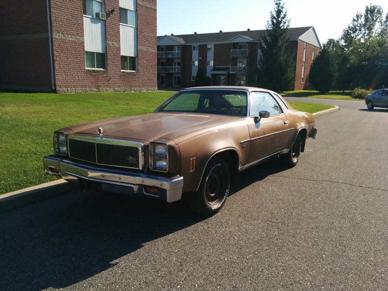 Owner of a 1976 Malibu Classic in Quebec, Canada Img_2013