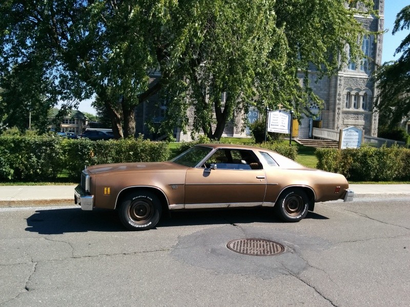 Owner of a 1976 Malibu Classic in Quebec, Canada Img_2019