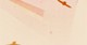 Pas de nouveaux messages