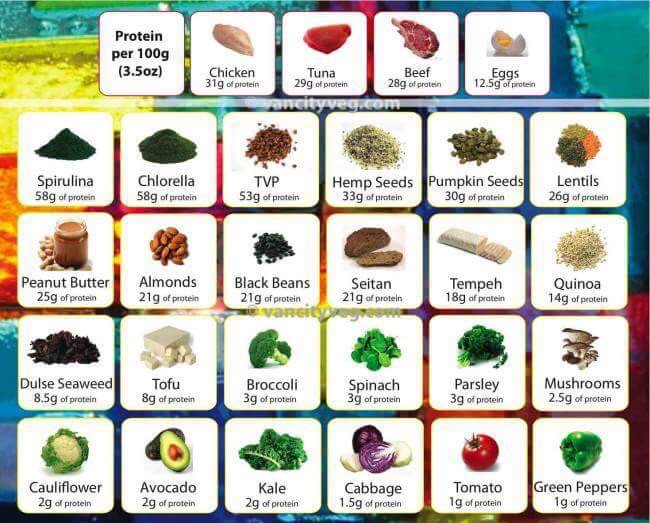 Food for thought: Protein - meat versus non-meat products  Image24