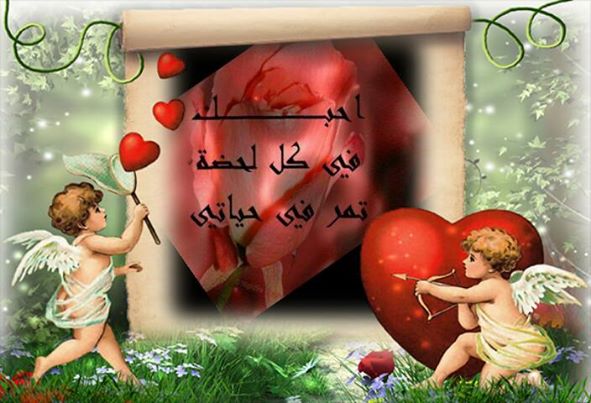 مجلة حروف من الياسمين ****ياقلب قلب القلب  بقلم علي خليل 12036710