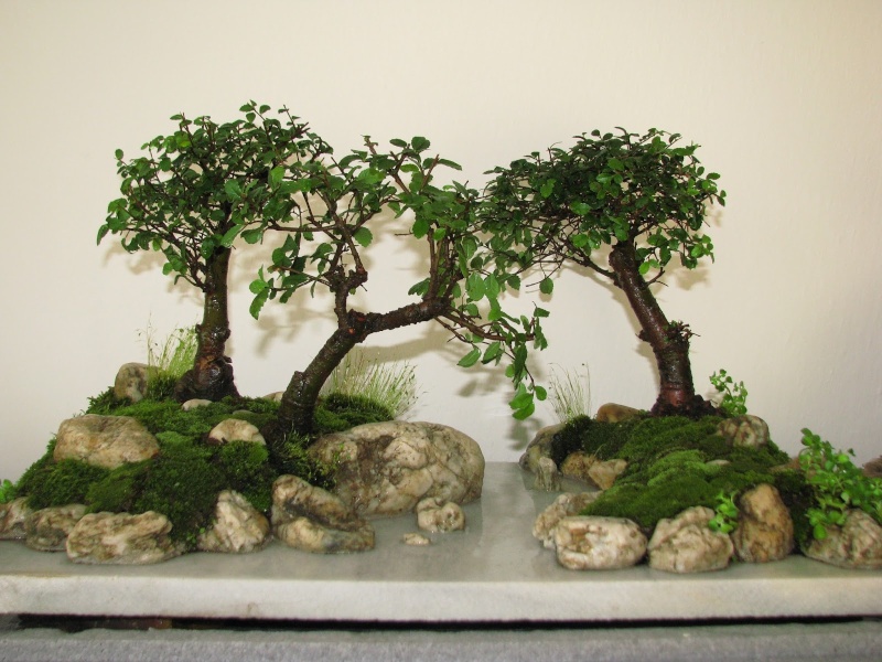 Water and land penjing Final10