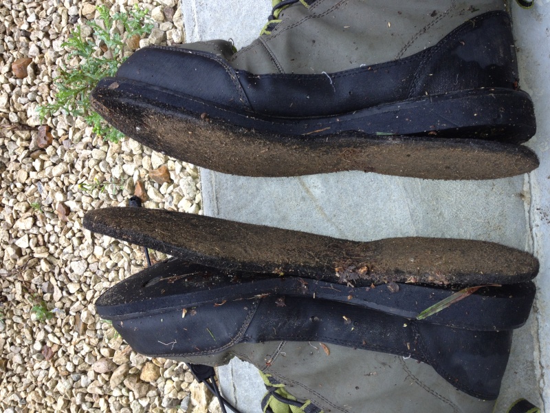 Chaussure de Wading semelle feutre Img_1716