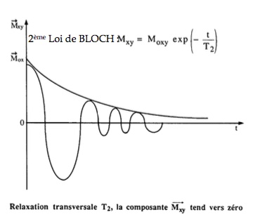 Loi de Bloch Sans_t14