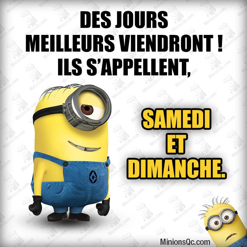 humour - Page 39 11817110
