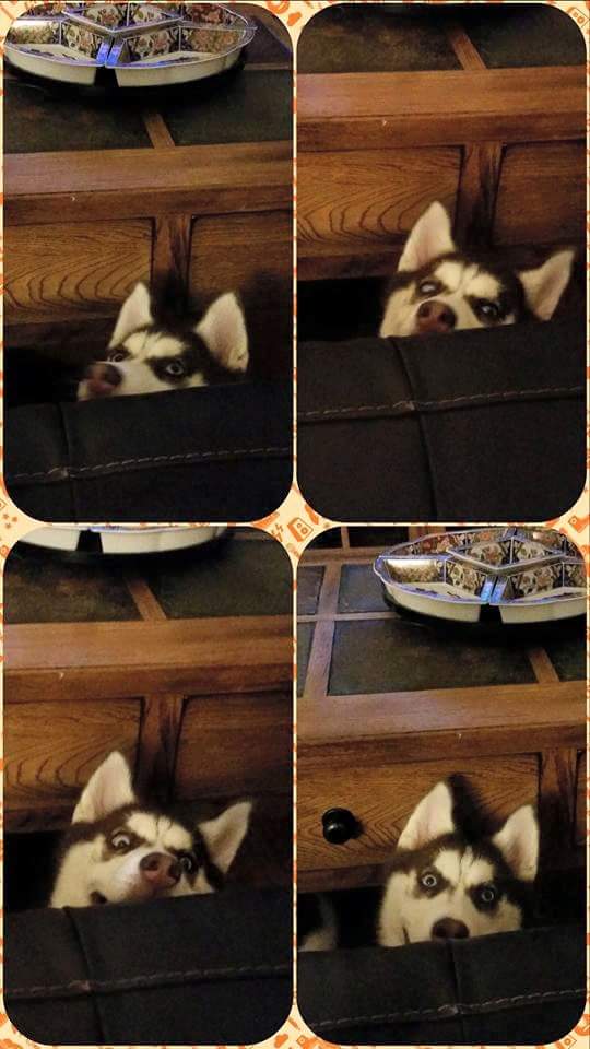 Red's Scrapbook Fb_img10