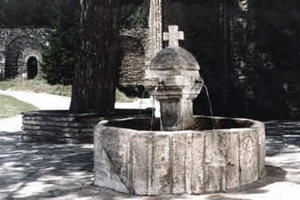 Stara fontanna św Nectana Wnetrz29